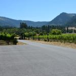 OTRA2013_0757 (July 11, 2013)